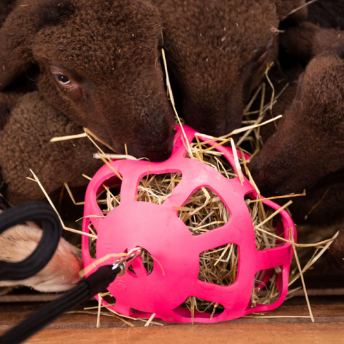 Hay Slowfeeder Fun and Flex 22 cm