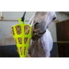 Excellent Hay Slowfeeder Fun and Flex 22 cm Carrot