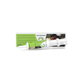 Horse Electrolytes Gel Injector