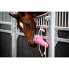 HB Showtime Horse Toys Round Carrot