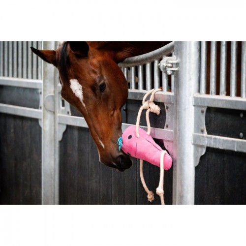 HB Showtime Horse Toys Round Carrot