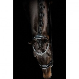 Mrs. Ros Double Bridle Johnny Silver Deluxe