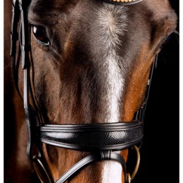 Mrs. Ros Bridle Deluxe Knight Rider Power