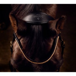 Mrs. Ros Bridle Deluxe Knight Rider Power