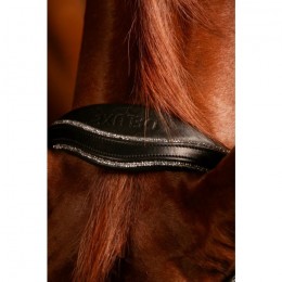 Mrs. Ros Bridle Johnny Silver