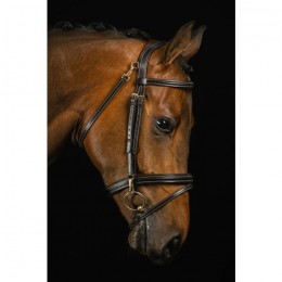 Mrs. Ros Bridle Ortega Deluxe