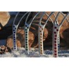 Jin Stirrup Limited Edition Crystal Stirrups