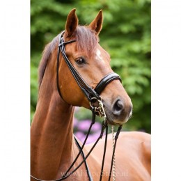 Premiera ''Rome'' Black rolled double bridle with 4.5 cm patent leather noseband
