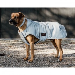 Kentucky Dog Coat Reflective