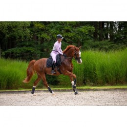 Mrs. Ros SS25 Silhouette Riding Tights Purple Lavender Fields