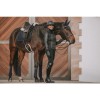 Kentucky Sheepskin Anatomic Short Girth