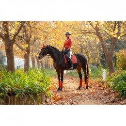 LeMieux FW'22 Suede Saddlepad Sienna