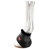Zandona Carbon Air Heel