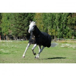 Bucas Irish Turnout Combi Neck Black