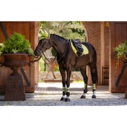 LeMieux SS'23 Kiwi Suede saddlepad