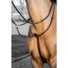 LeMieux Arika martingale