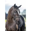 LeMieux Arika Dressage bridle