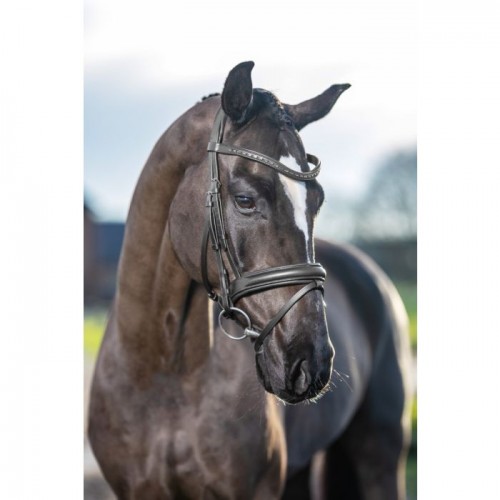 LeMieux Arika Dressage bridle