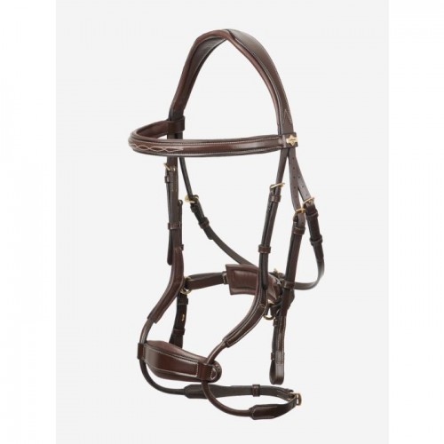 LeMieux Kudos bridle Clear Arc