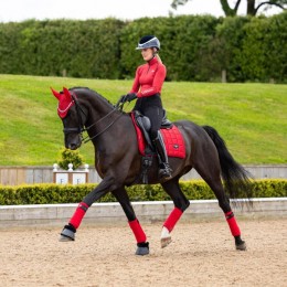 LeMieux Loire Saddle Pad Chilli Red
