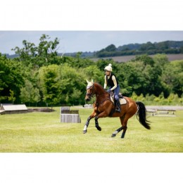 LeMieux SS25 Saddlepad Suede Mimosa Jumping