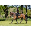 LeMieux Pillow Saddlepad Black