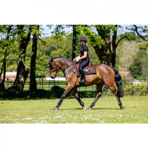 LeMieux Pillow Saddlepad Brown