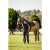 LeMieux 3D Mesh Self-Cool Eurojump Blanket