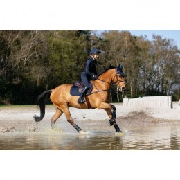 LeMieux 3D Mesh Self-Cool Eurojump Blanket