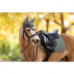 LeMieux AW25 Mini Classic ear net Rosemary