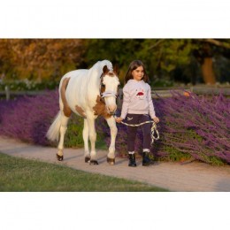 LeMieux AW25 Mini Vogue Halter