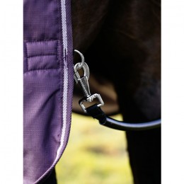LeMieux AW25 Arika Ripstop 100g Turnout Blanket Juniper