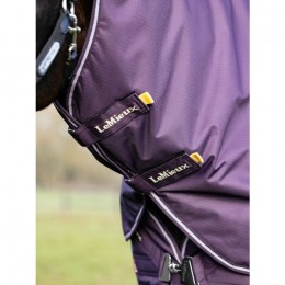 LeMieux AW25 Arika Ripstop 100g Turnout Blanket Juniper