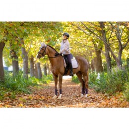 LeMieux AW25 Keira Quarter Neck Sweat Lilac