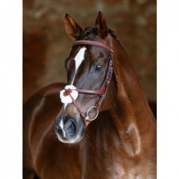 LeMieux CORE Kudos Grackle Bridle Chestnut