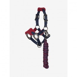 LeMieux Mini Vogue Headcollar