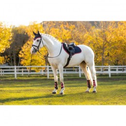 LeMieux AW25 Suede CC Saddle Pad Navy/Cranberry