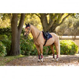 LeMieux AW25 Suede GP Saddle Pad Navy/Cranberry