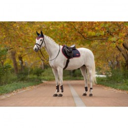 LeMieux AW25 Loire Classic CC Saddle Pad Navy/Cranberry