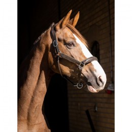 HB Showtime Halter Glitty