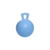 Jolly Ball 25cm with a tasty smell!