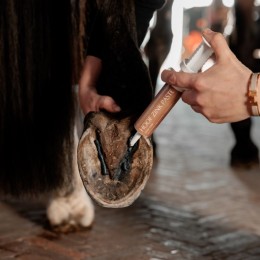 Grooming Deluxe Hoof Zinc Paste