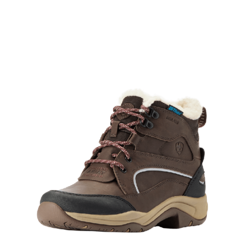 Ariat waterproof shoes Telluride Insulated