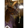 Lax Lucerne on Play Rope for Horses