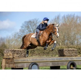 LeMieux Boots Carbon Air XC