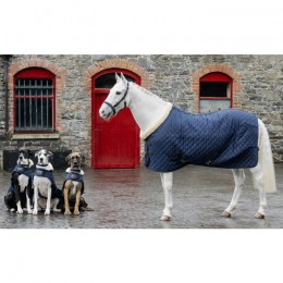Kentucky Show rug 160g