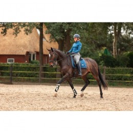Equestrian Stockholm Monaco Blue Dressage saddlepad