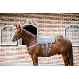 Equilibrium Massage Pad