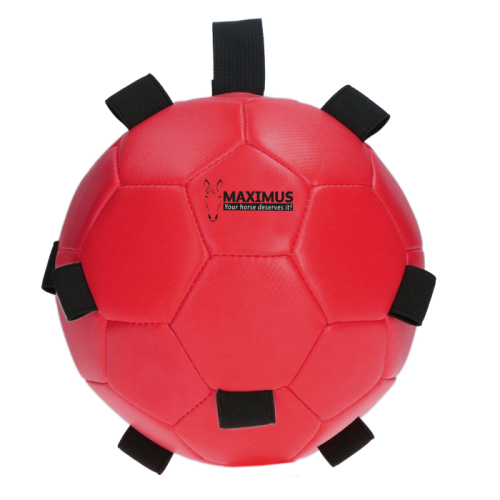 Maximus Fun Play Ball