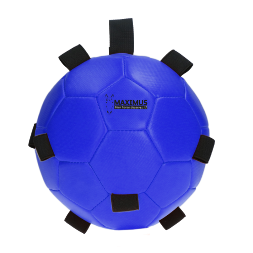 Maximus Fun Play Ball